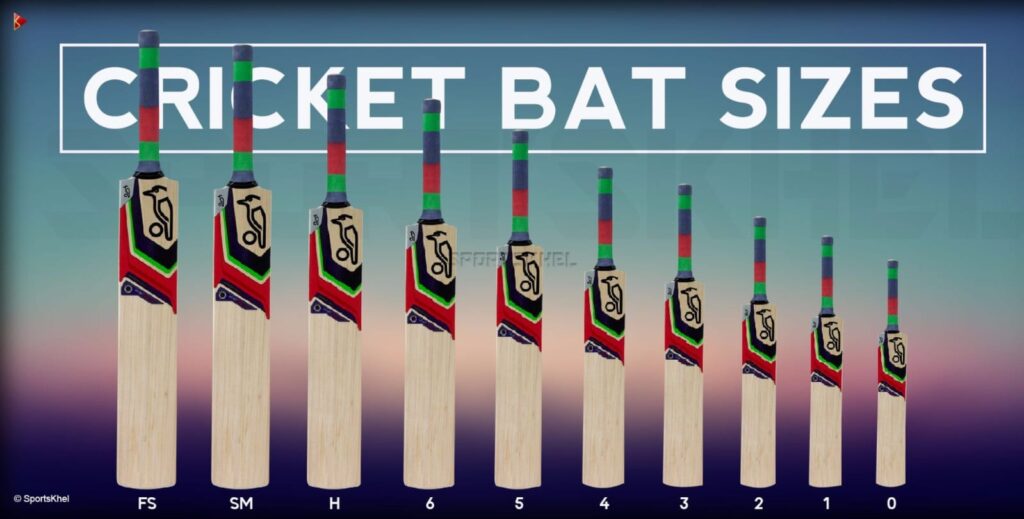 Detailed Comparison Table on Bat for Beginners