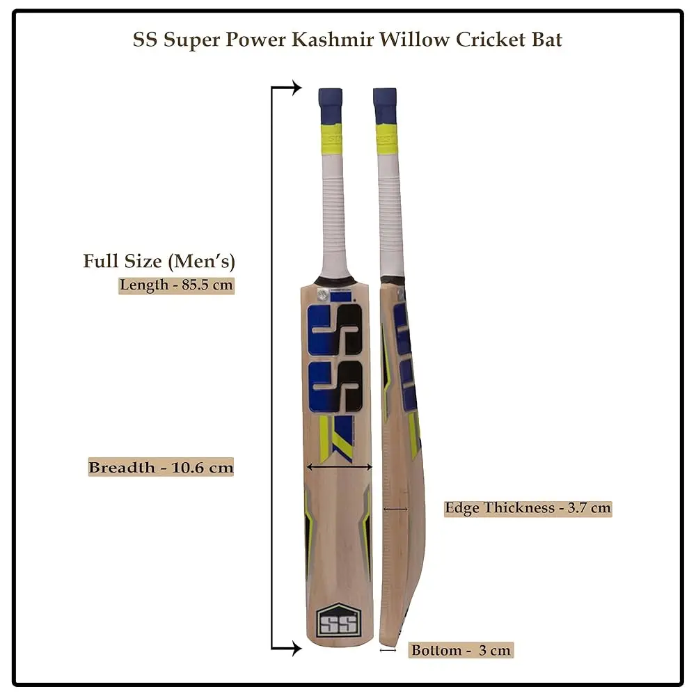 Kashmir vs English Willow Cricket Bats Comparison for Beginners