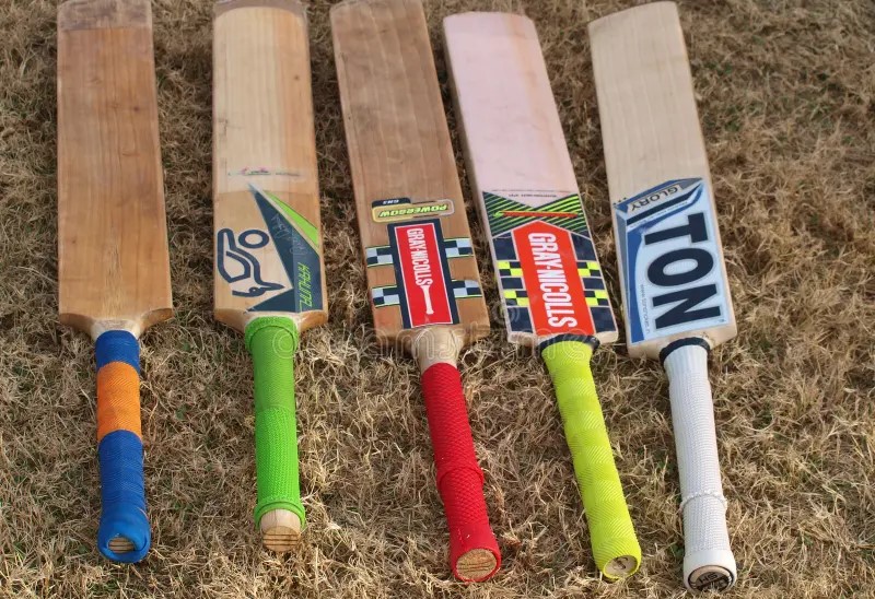 best cricket bats for different levels
